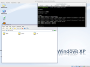 Cinnamon Samba + XP